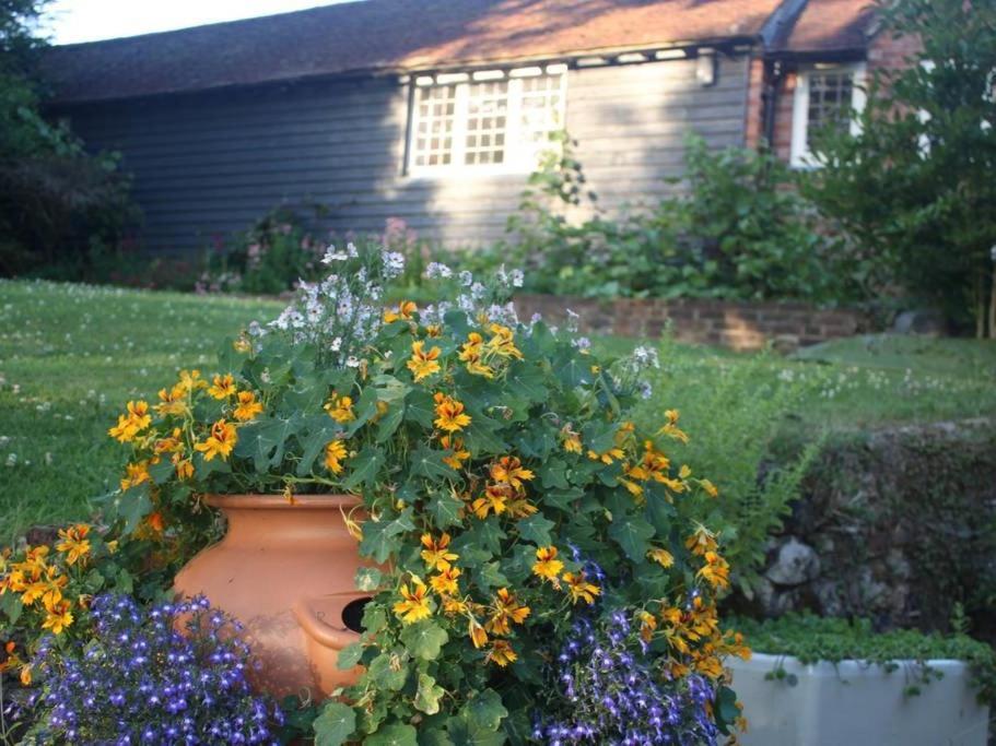 Apartament Oak House Farm Edenbridge Zewnętrze zdjęcie