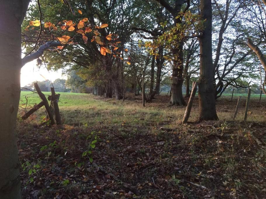 Apartament Oak House Farm Edenbridge Zewnętrze zdjęcie